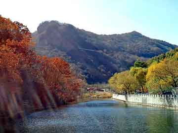 正新澳门二四六天天彩，凌天佣兵团